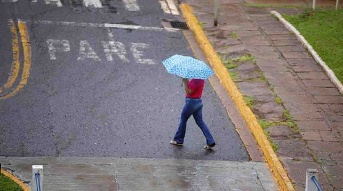 Veja quais dias é bom sair com guarda-chuva de casa