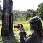 Cine Aves MS – Edição 2021