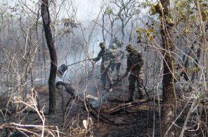 Combate a focos de incêndio no Pantanal contará com colaboração do Exército (Divulgação EB)