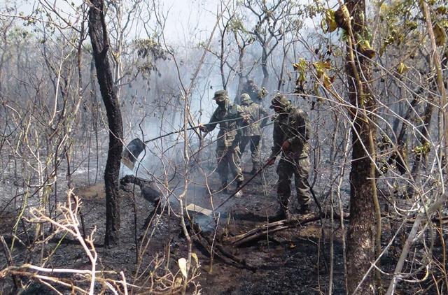 Combate a focos de incêndio no Pantanal contará com colaboração do Exército (Divulgação EB)