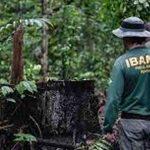 Concurso visa preencher vagas no Ibama