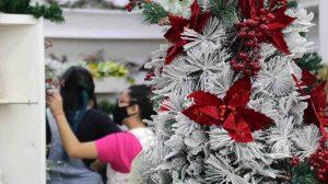 Compras de Natal vão movimentar comércio e estimular contratações em MS