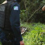 Corpo de Márcia foi encontrado na BR-262.