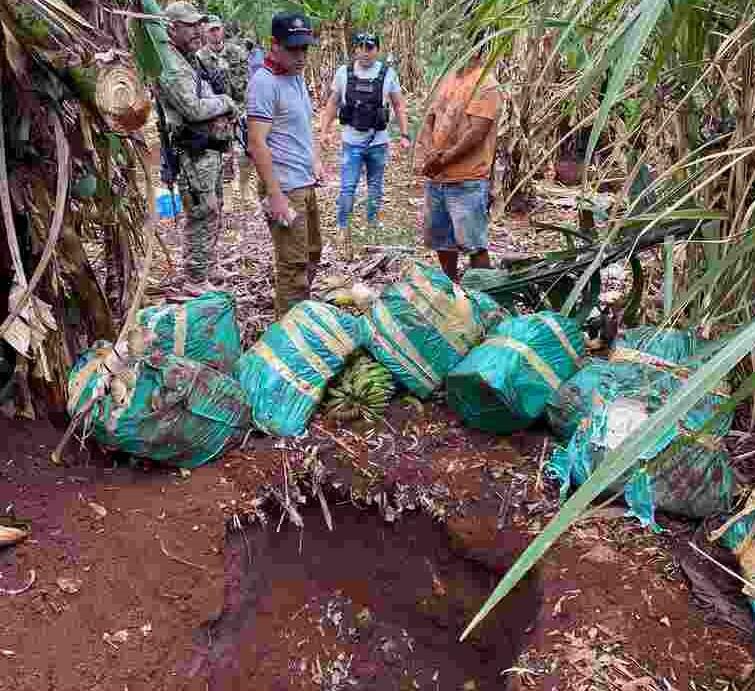 Agentes da Senad retiram maconha escondida em covas