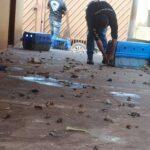 Local estava totalmente sujo e animais foram resgatados