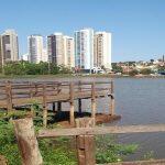 (Divulgação