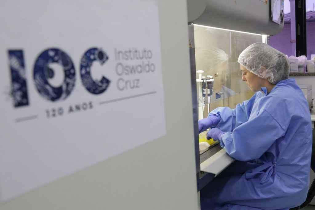 Divulgação/Josué Damacena (IOC/Fiocruz)