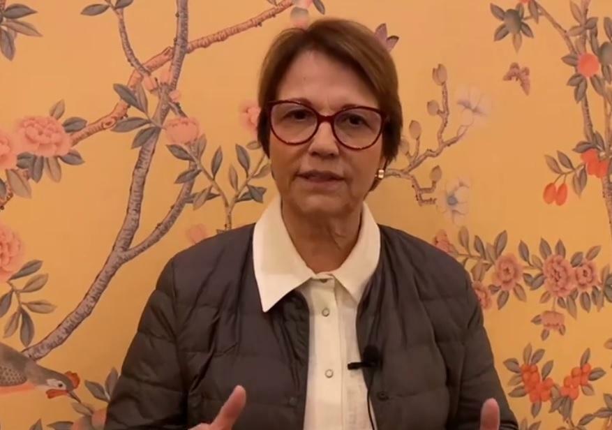 Ministra tem atuado na ampliação das exportações e diversificação da pauta. (Reprodução Instagram)