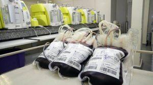 Baixo estoque compromete transplantes sanguíneos