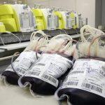 A média de pessoas que procuram o Hemosul é de 102 por dia