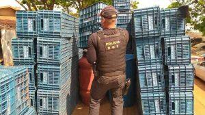 O autor confessou o crime