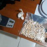Droga apreendida em ação policial. Foto: Divulgação