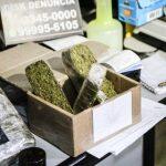 Droga era enviada em caixas pelos Correios