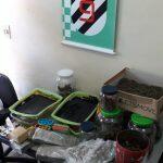 Drogas apreendidas durante ação policial. Foto: Divulgação
