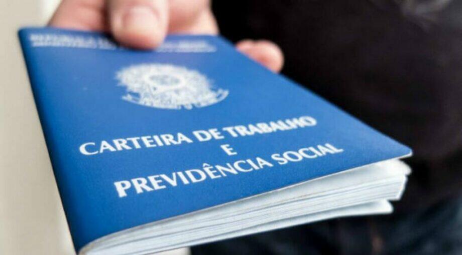 (Divulgação)