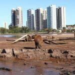 (Foto: Edemir Rodrigues | Divulgação)