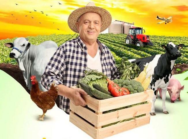 O evento visa ampliar a visão urbana sobre o campo (Foto: Divulgação)