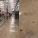 Rastro de fezes na entrada do banheiro surpreende moradores de Campo Grande