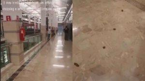 Rastro de fezes na entrada do banheiro surpreende moradores de Campo Grande