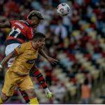 Assessoria/Flamengo