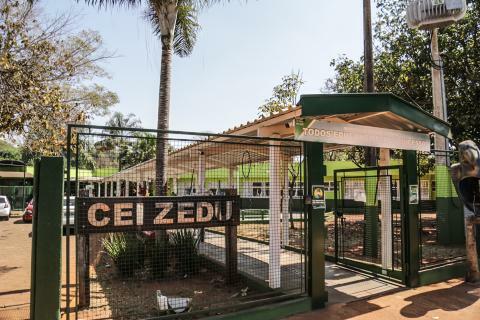 Uma das áreas queimadas fica aos fundos da escola.