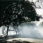 Fumaça atrapalha visibilidade de motoristas no Parque dos Poderes