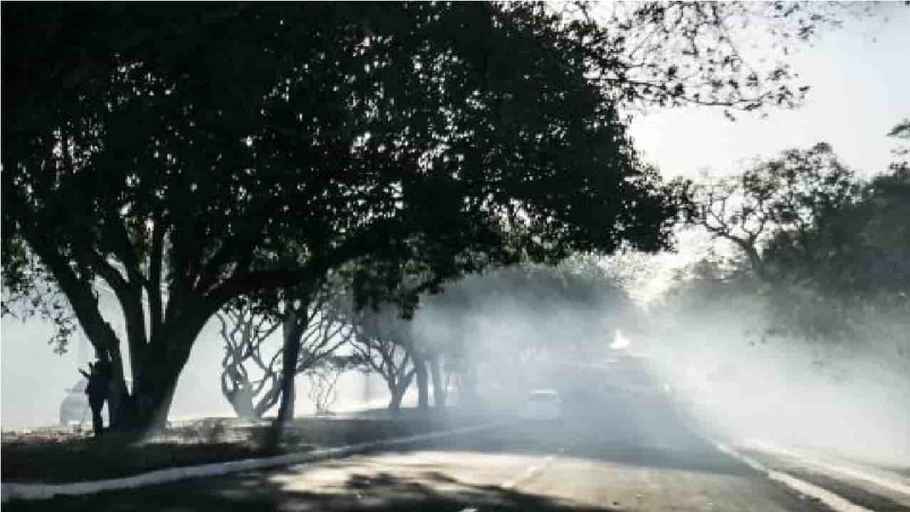 Fumaça atrapalha visibilidade de motoristas no Parque dos Poderes