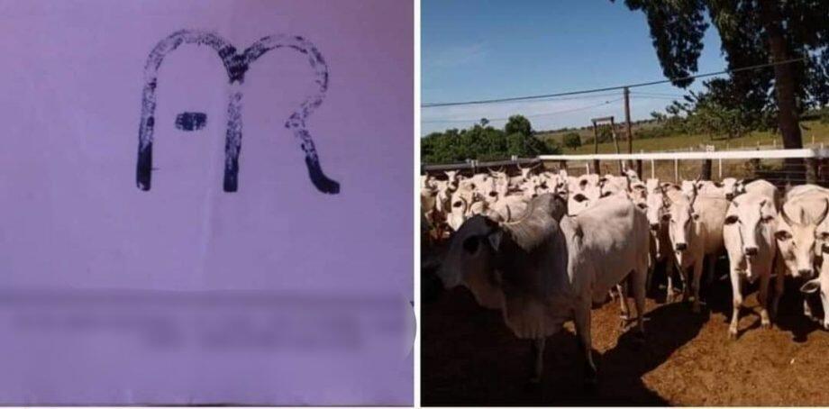 Marca que distingue animais do rebanho