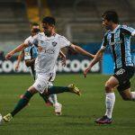 Assessoria/Fluminense