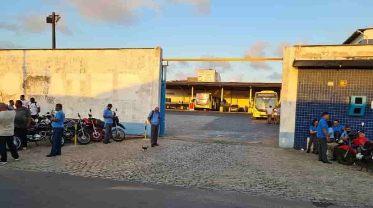 Até gato participa de paralisação dos rodoviários