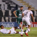 Assessoria/Guarani