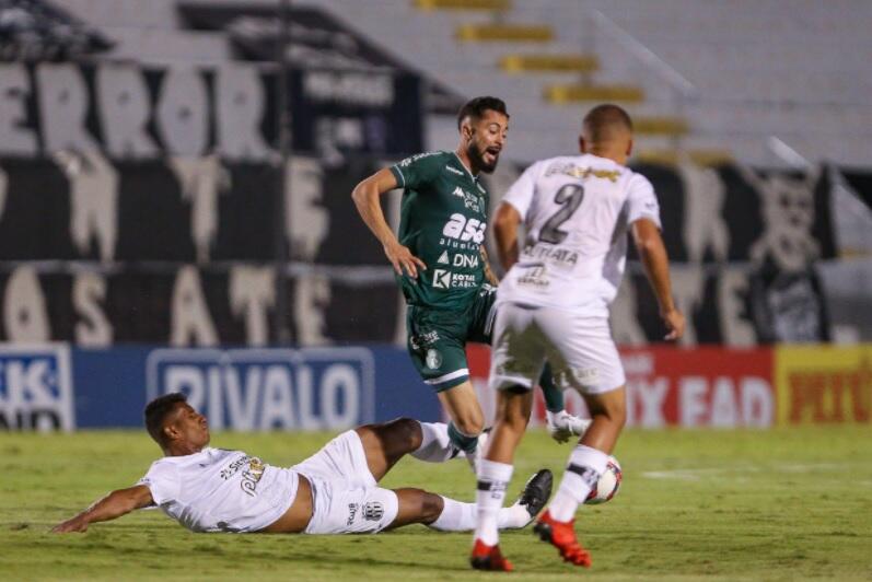 Assessoria/Guarani