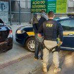 Foto: Divulgação.