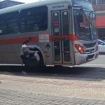 (Foto: Reprodução)