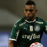 (Foto: Divulgação/Palmeiras)