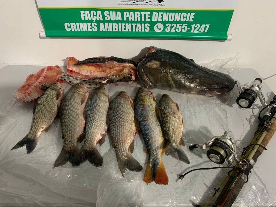 Divulgação PMA