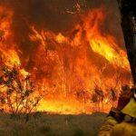 O estado australiano mais afetado pelos incêndios foi Victoria. (Foto: AAP Image/Shane Chalker via Reuters)