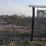 Imagem revela poder de devastação do fogo