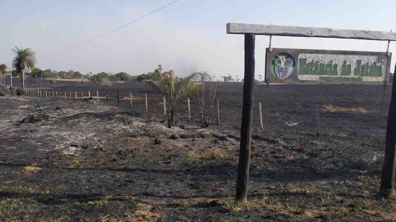 Imagem revela poder de devastação do fogo
