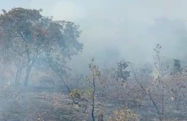 Incêndio atinge uma região de mata