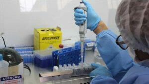 Amostras foram coletadas em MS para sequenciamento