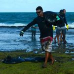 Voluntários limpam praias no Nordeste. (Teresa Maia