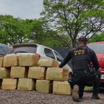 Droga apreendida pelo DOF em ação policial