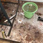 Local funcionava em condições inadequadas de higiene. Foto: Divulgação