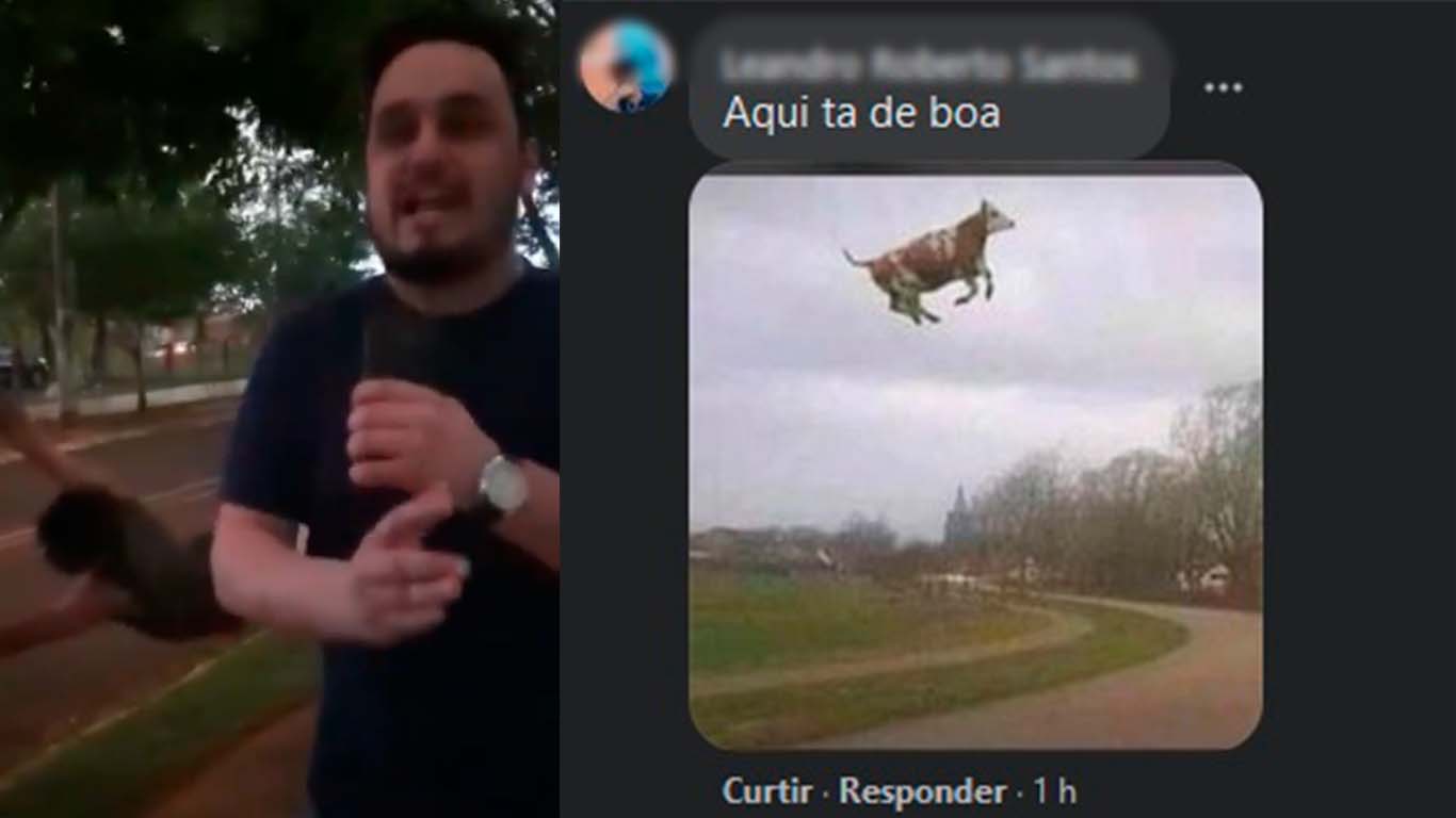 Imagem ilustrativa