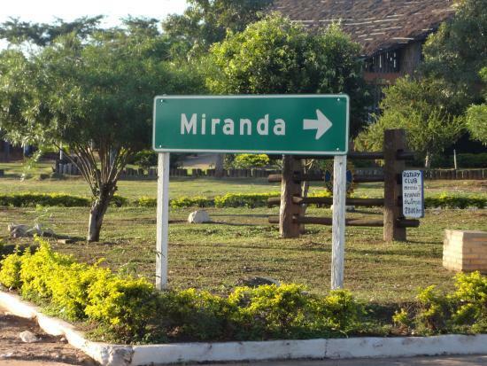 Miranda conta com cerca de 18 mil eleitores (Reprodução