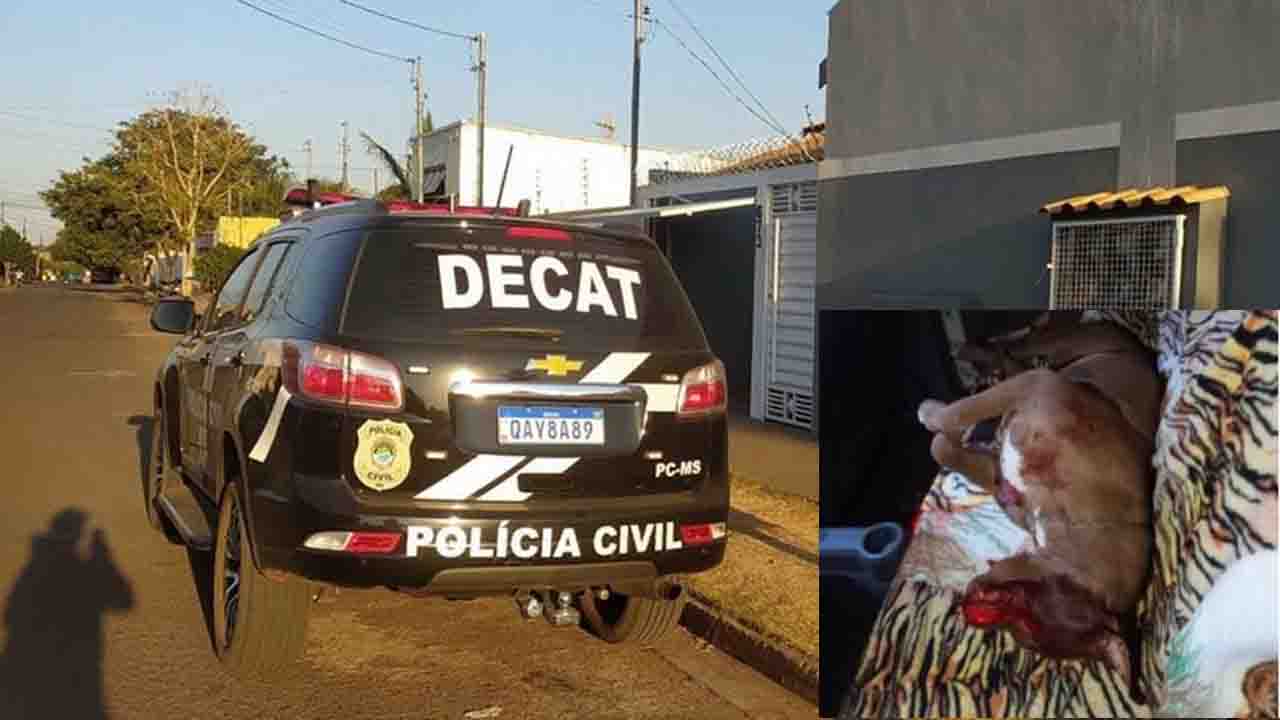 Investigação chegou ao autor do crime