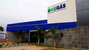 msgas privatizacao estágio