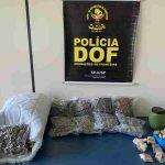 Drogas foram localizadas durante abordagem ao veículo na MS-289