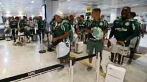 Assessoria/Palmeiras